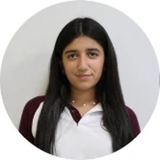 Noorlin Al Saati, Head of Delegates